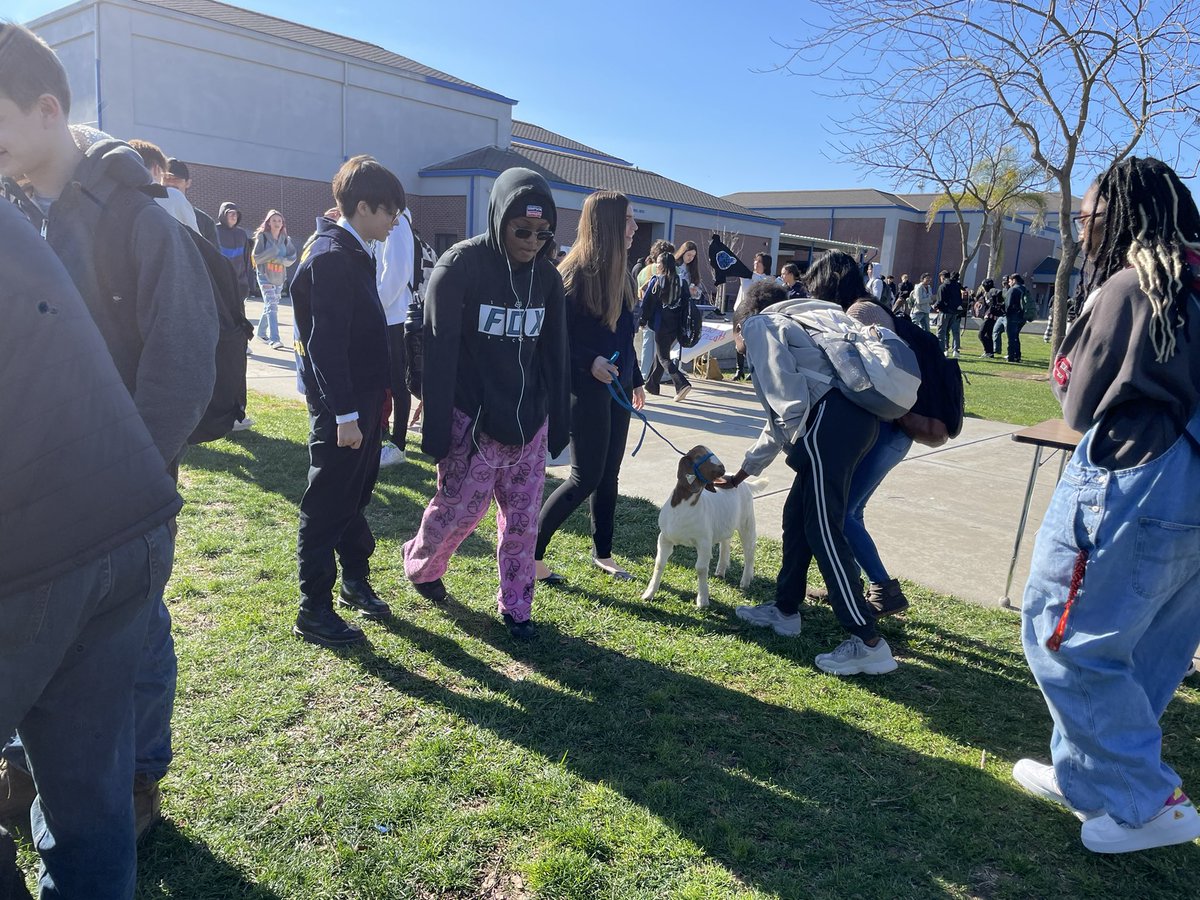 Our spring term Club Rush was a success today!  Bobby, the goat, made several new friends too! 🐐💙💛