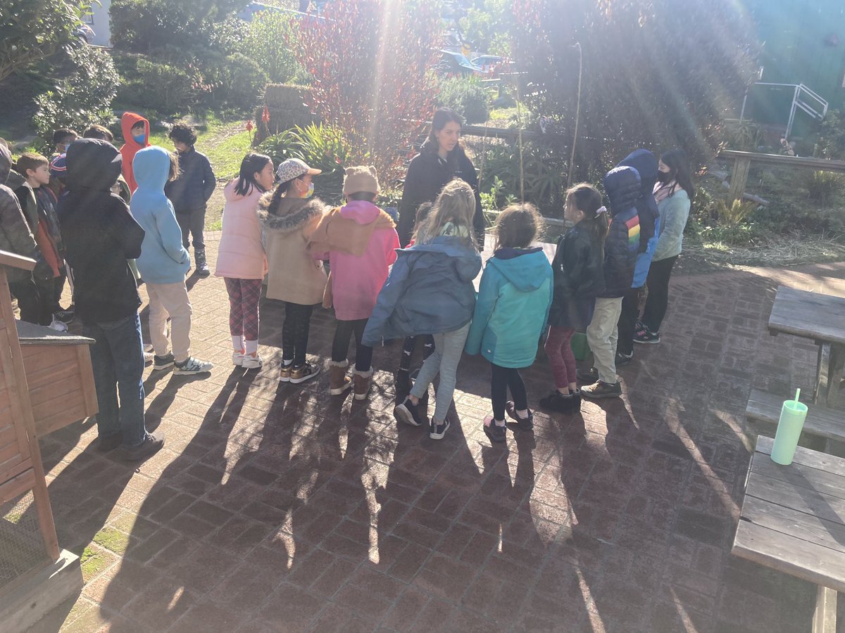 Henry Wong☮️ tweet media