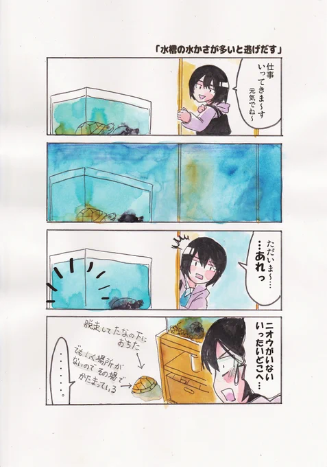 「水槽の水かさが多いと逃げだす」4年前に描いたカメ漫画。最近は我が家になれてくれたのか落ち着いていますが、産卵前などでストレスがたまっている時は逃げだしたりします(そして逃げだした先でかたまっています)#観世あみ作品投稿祭り毎朝7時30分 