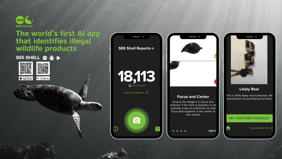 SEEturtles's tweet image. Have you ever encountered a product that you thought might contain turtleshell? Download our SEE Shell app to help end this guessing game. Our SEE Shell app can identify illegal turtleshell products with just the click of a camera.
 
Download it today: seeturtles.org/see-shell