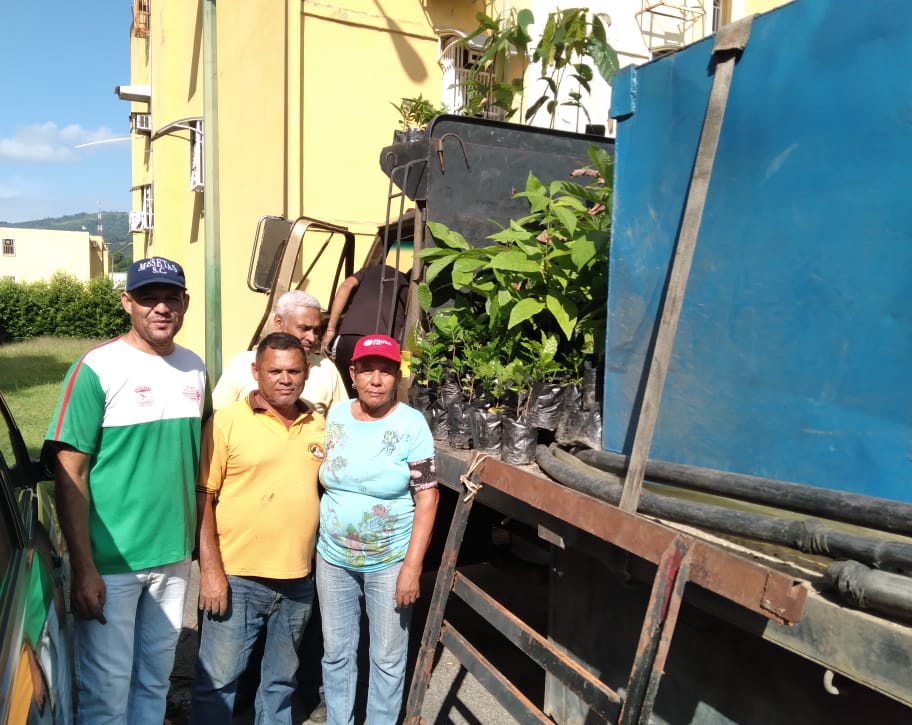 TrujilloUrbana's tweet photo. La #Uticex del municipio San Rafael de Carvajal entregó 235 plántulas de cacao, 45 de aguacate y 46 de café a los representantes del Consejo Campesino "Las Raíces". ¡Seguimos impulsando la producción en el estado Trujillo! 🌱
#PuebloLegislador https://t.co/xhJ1RoonhP