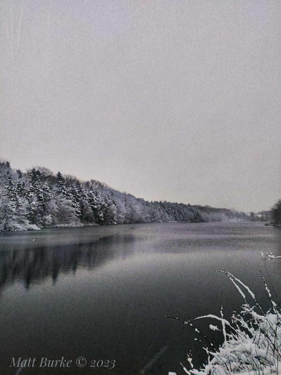 Oat Hill Lake in #Dartmouth #NovaScotia after today's storm. #halifax #photography #winter