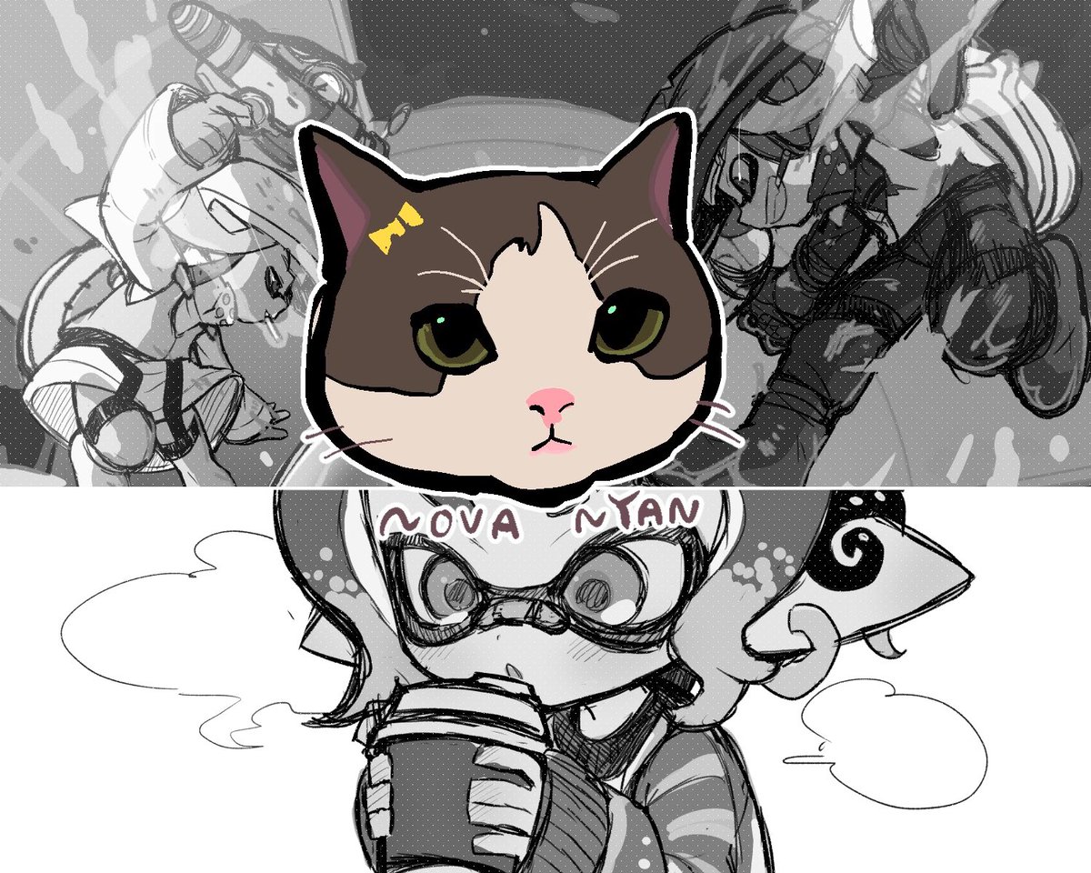 フォロワーのネコチャン 
