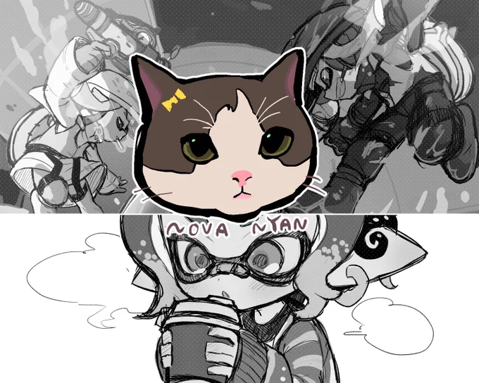 フォロワーのネコチャン 