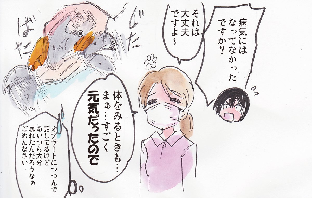 🐢🐢元気な時に動物病院に連れて行くことがあってもいい
※ちなみにその後ニオウは無精卵を産み、女の子であることが判明しました
#観世あみ作品投稿祭り毎朝7時30分