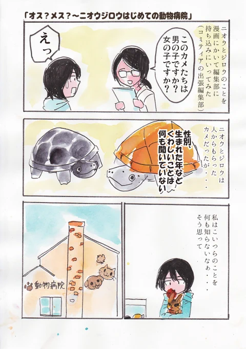 🐢🐢元気な時に動物病院に連れて行くことがあってもいい
※ちなみにその後ニオウは無精卵を産み、女の子であることが判明しました
#観世あみ作品投稿祭り毎朝7時30分 