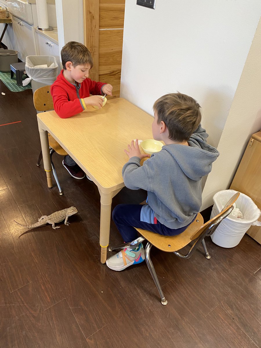 WestminsterOKC's tweet photo. Friday update! 
• Primary Division class pet Spike, wanted to learn more about cereal work. 🥣
• Lower Division students are exploring shapes. 🔹▫️⚪️
#whywewestminster https://t.co/38jr1O5kkZ