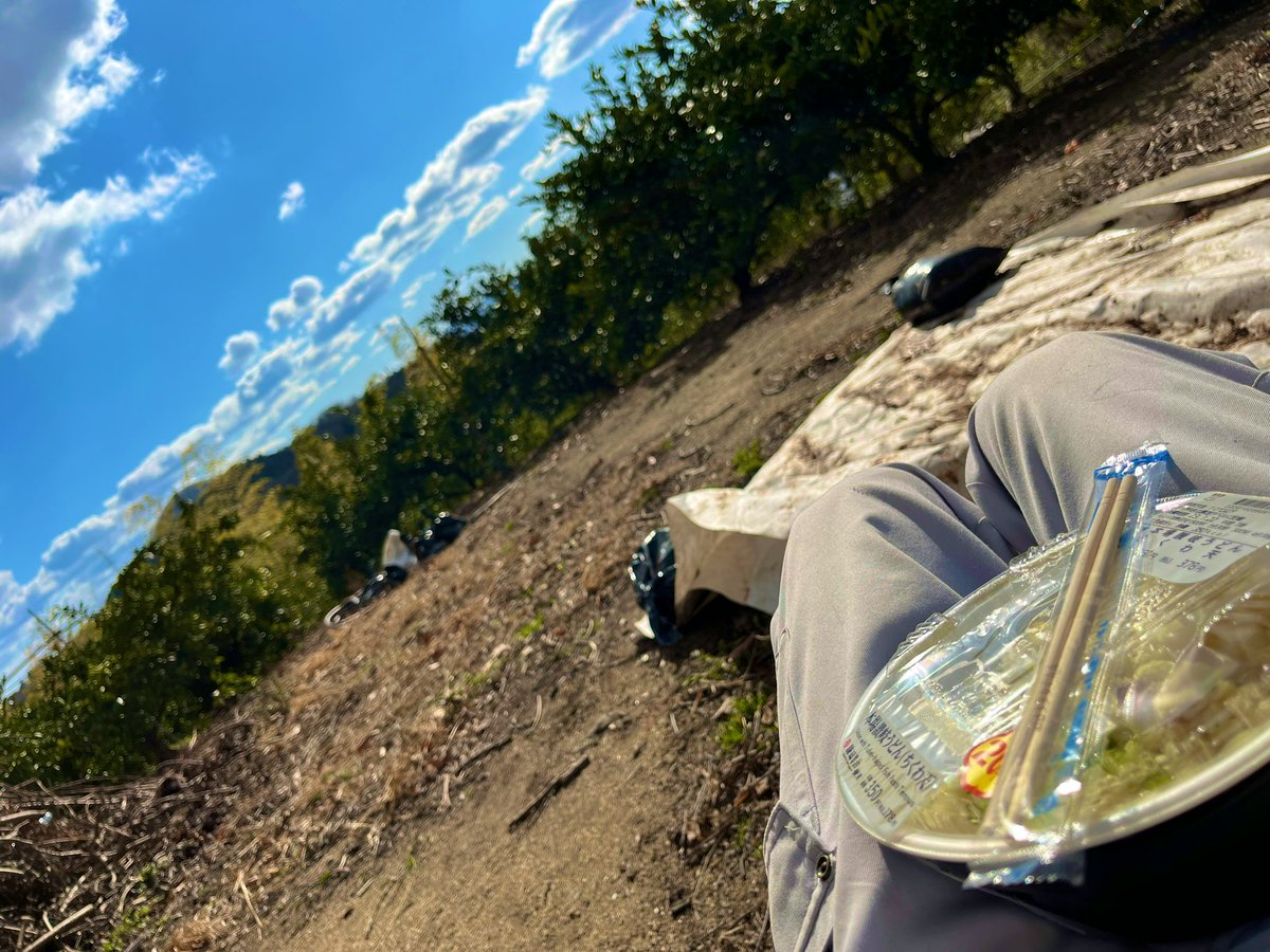 startfromzero23's tweet image. マルチを片付けつつ、畑の整備中です！🍊

外で食べるご飯は最高に美味しい✨