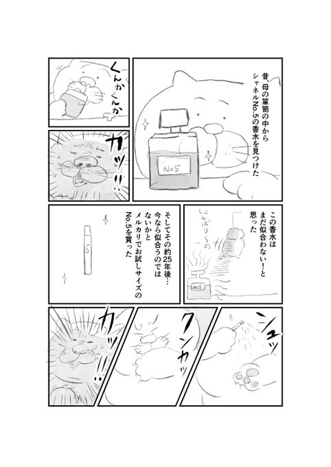 No.5が似合わない 