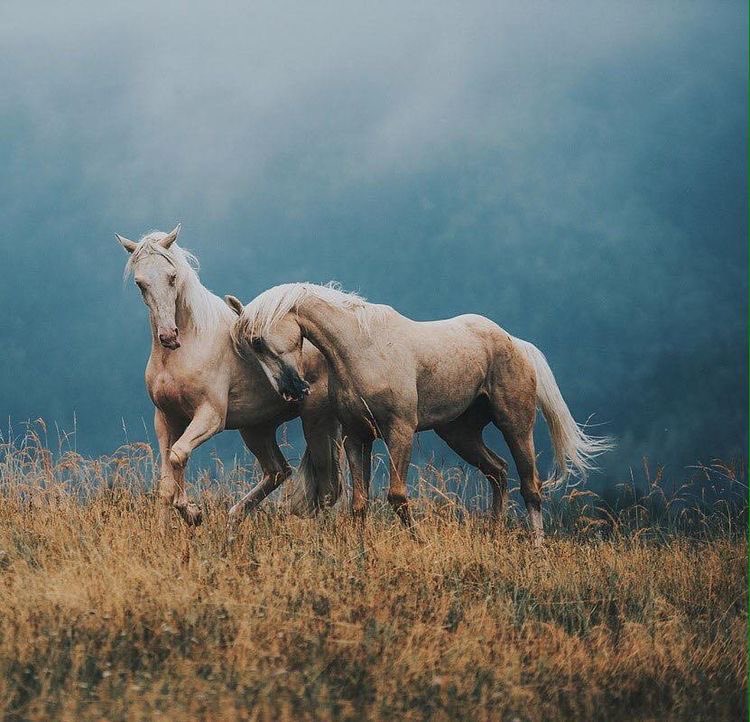 👆Follow my friends👇
<a href="/italianostyle2/">Frankie D....TEAMSTALLION</a>
<a href="/PaulTwigg4/">Paul</a>
<a href="/GualuCL/">❦• ᎶᏌᎪᏞᏌ┢┦aΡｐy  •❦</a>
<a href="/MarEthr/">👉 Mark 28K 😜👇</a>
<a href="/ME_1b/">MarkE</a>
@oce2005
<a href="/BrettMGWV/">brett</a>
<a href="/gramyc44/">Cheryl</a>
<a href="/Josgmelo/">JOMELO #teamDollNature #1DDrive @RionegroeSolimôes</a>
<a href="/swydersk/">Deb #TmPetaL🌹#Resist💙 #NeverTrump Enjoy the ride</a>
<a href="/Spencerjames211/">Spencer James #GAINWITHPETAL #TMPETAL #Teamspirit</a>
<a href="/rafi_rough/">Ⓜ️Rafi</a>
<a href="/sami86pilang/">🇮🇩🐯𝐋𝐞𝐚𝐝𝐞𝐫'𝐬🐯🇮🇩</a>
<a href="/laurajnner/">Laura Janner</a>
<a href="/Germn_jj/">༺𝒢ℯ𝓇𝓂𝓃 𝒿𝒽ℴ𝓃𝓈༻</a>

Share the Stallion Love ❤️
 &amp; Gain with👇
👉#TEAMSTALLION 🐎 #family !!! 🐎
😂#TGIF🥳