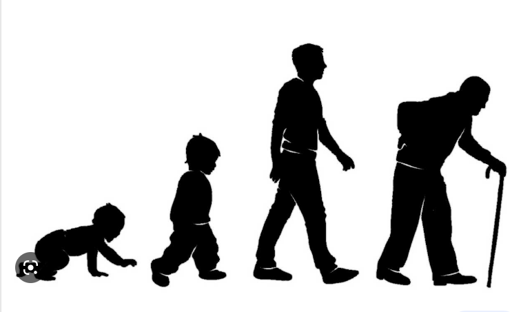 Talking Biotech 380 - Is the key to long-term disease to first arrest biology associated with aging? Fascinating conversation with Dr. Eric Morgen of <a href="/bioagelabs/">BioAge</a> about new therapeutics that might slow age-related disorders. share.transistor.fm/s/0e1f8b71