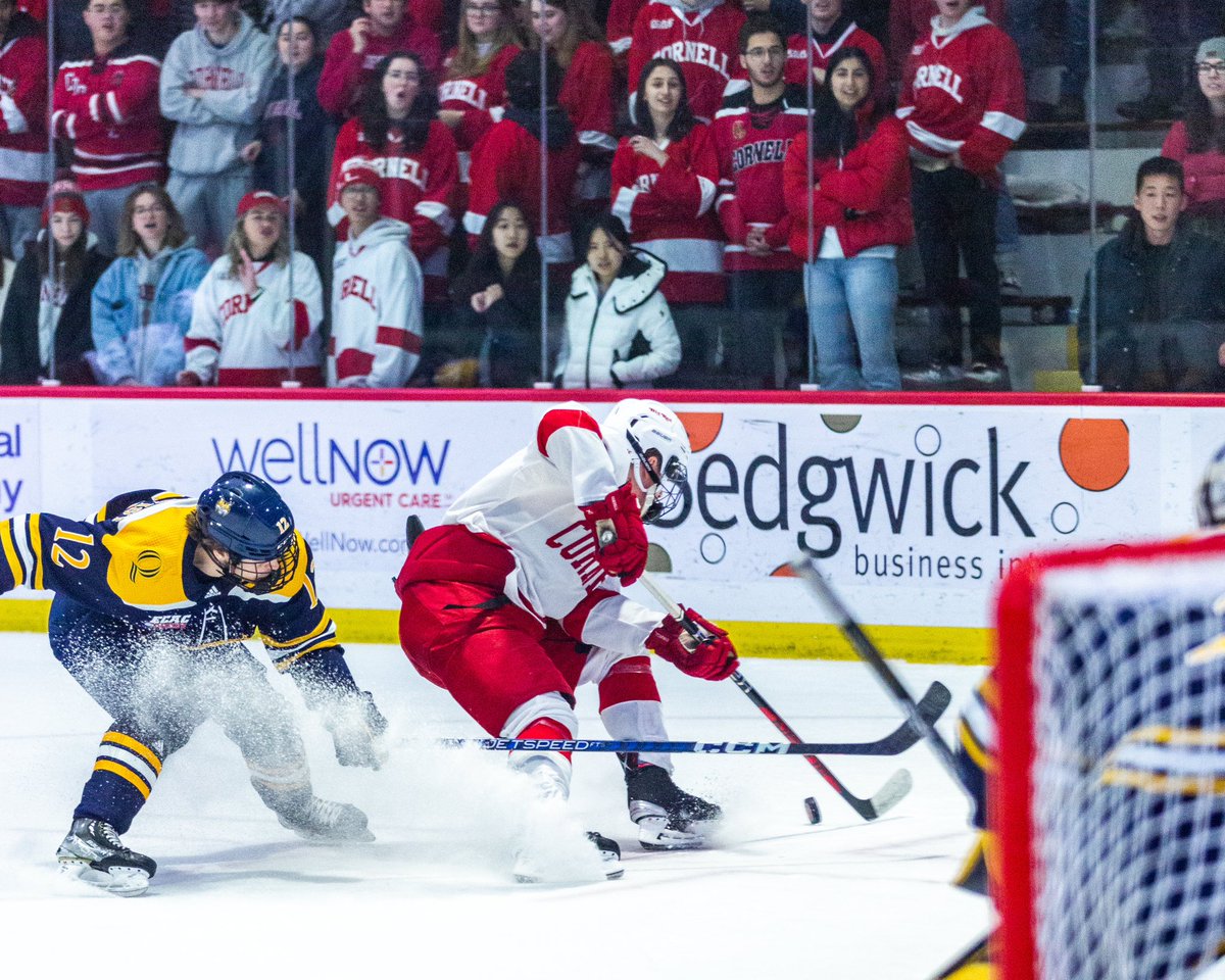 CornellMHockey's tweet photo. No more number one. #YellCornell https://t.co/gXSPxV1TEa
