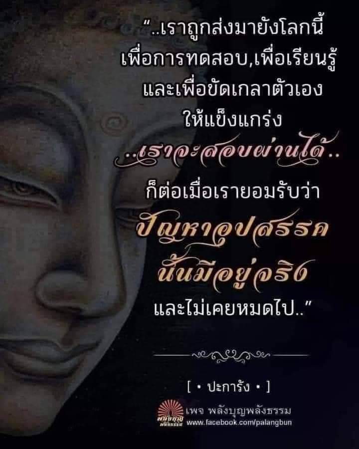 Phrasundaro's tweet photo. https://t.co/VFedwG03Fc