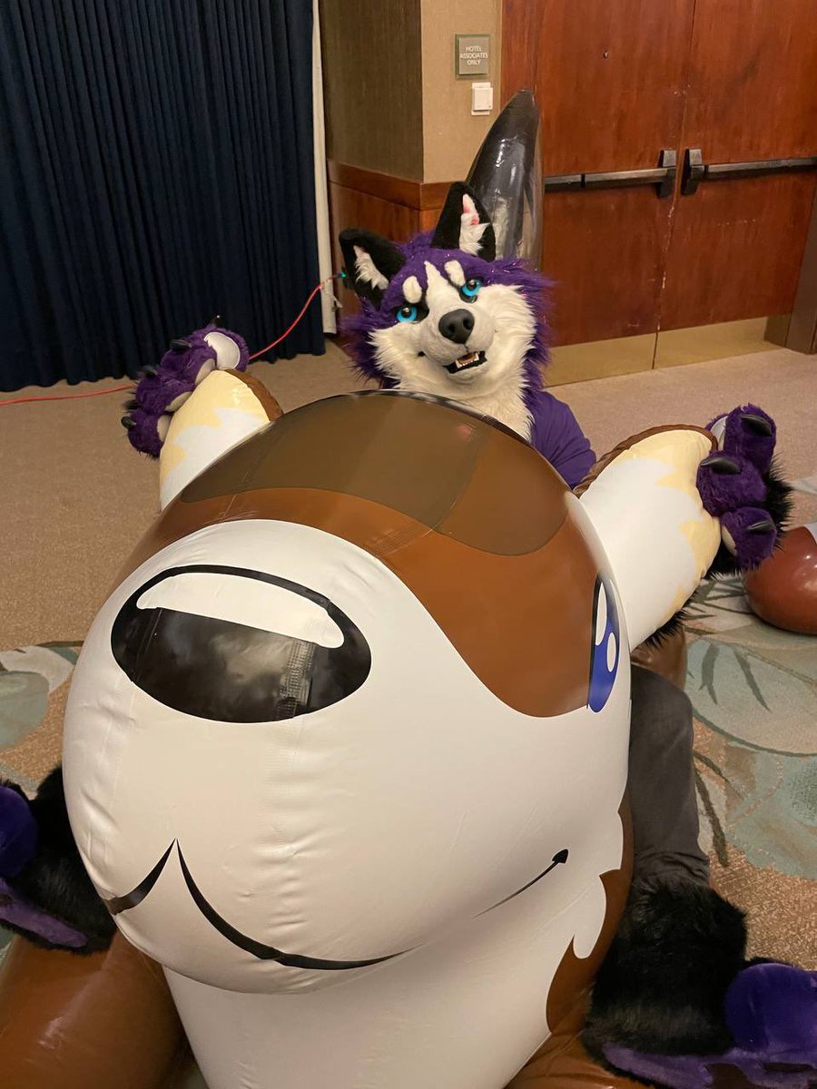 shane_deepwood's tweet photo. @ZeekWolfy made a new friend today. #ANE2023 https://t.co/rRNjVFih5r