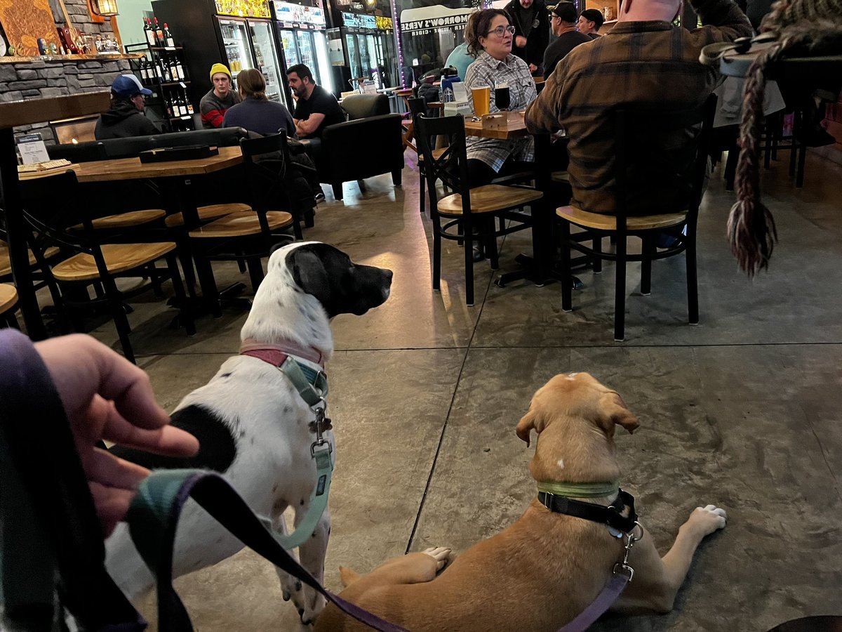 The weirdos at one of their favorite pubs. Second time inside! <a href="/VerseTaproom/">Tomorrow's Verse Taproom</a>