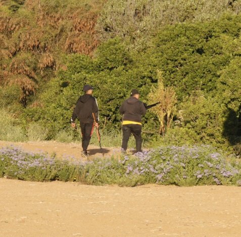 algarrobocl's tweet photo. Nuevamente aparecen cazadores en el humedal El Membrillo en Algarrobo

Recordemos que la caza en zonas urbanas está completamente prohibida por la ley de caza

Como recomendación si ven algo parecido avisar a seg. Ciudadana ya que carabineros no se presentan https://t.co/VJxwz7X7n3