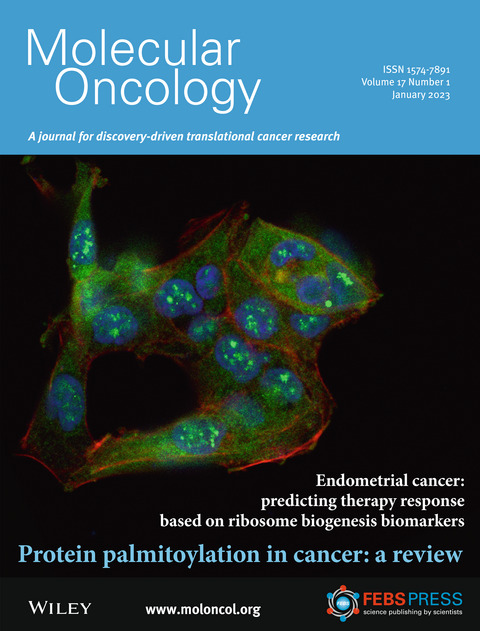 MolOncology's tweet photo. 🔴New Year, New Issue🔴
Browse our 2023 January issue online
🖱️https://t.co/FAKUPe8vFw
📕Featuring Research Articles on biomarkers for therapy in endometrial cancer, cancer metabolism, breaking resistance in neuroblastoma & more
#CancerMetabolism #Palmitoylation
#GynCa #CLL https://t.co/6vWVTai7Ch
