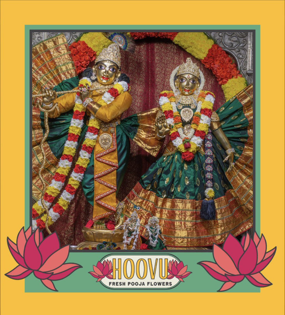 hoovufresh's tweet photo. We are grateful that flowers from @hoovufresh are used for the Alankara of Krishna at @ISKCONBangalore temple. 

#grateful #hoovu #hoovufresh #iskcon #alankara #harekrishna #radhakrishna #sharktankindia https://t.co/9mUwQYXKAN