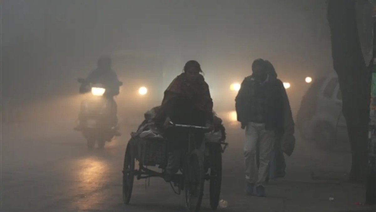 middaygujarati's tweet photo. IN PHOTOS: Dense fog reduces visibility in New Delhi; flight, rail operations hit
#fog #foggy #foggymorning #foggyday #newdelhi #newdelhiindia #flights #Railoperations #indianews #indianewsupdates #coldwave
https://t.co/14SEQUWHMR https://t.co/VQOC9IHf5E