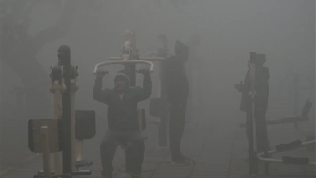 middaygujarati's tweet photo. IN PHOTOS: Dense fog reduces visibility in New Delhi; flight, rail operations hit
#fog #foggy #foggymorning #foggyday #newdelhi #newdelhiindia #flights #Railoperations #indianews #indianewsupdates #coldwave
https://t.co/14SEQUWHMR https://t.co/VQOC9IHf5E