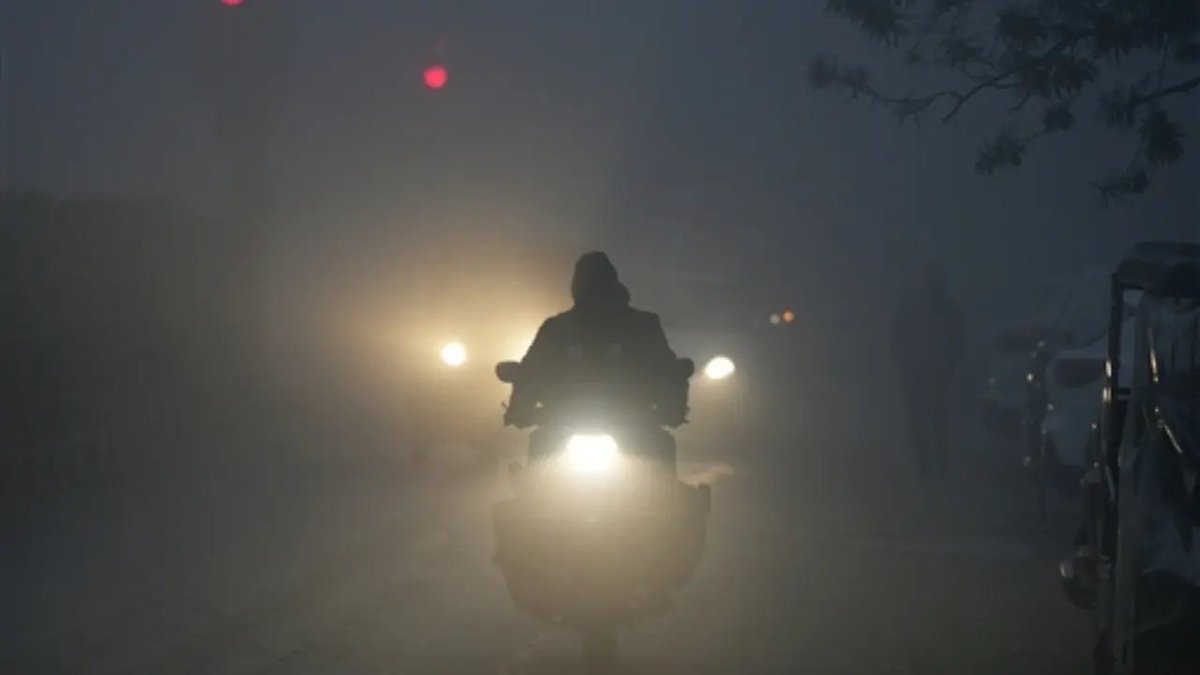 middaygujarati's tweet photo. IN PHOTOS: Dense fog reduces visibility in New Delhi; flight, rail operations hit
#fog #foggy #foggymorning #foggyday #newdelhi #newdelhiindia #flights #Railoperations #indianews #indianewsupdates #coldwave
https://t.co/14SEQUWHMR https://t.co/VQOC9IHf5E