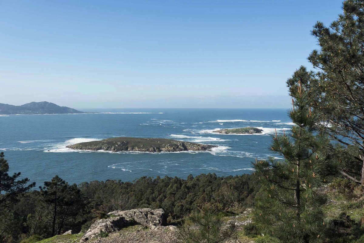 turisriasbaixas's tweet photo. Vista das Illas Estela desde Monteferro, unha zona protexida coa declaración de #RedeNatura pola súa gran biodiversidade mariña.
#BosDías e #FelizLuns desde o @ConcelloNigran 💙 https://t.co/vhKyc1xnrU