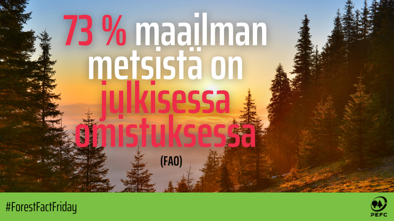 pefcsuomi's tweet image. Tiesitkö, että 73 % maailman metsistä on julkisessa omistuksessa? Suomessa yksityismetsänomistajat omistavat metsämaasta 60 %, kun muualla maailmassa vain 22 % metsistä on yksityisomistuksessa. Suomessa valtio ja yhtiöt omistavat 35 % metsistä. 🌲 #ForestFactFriday