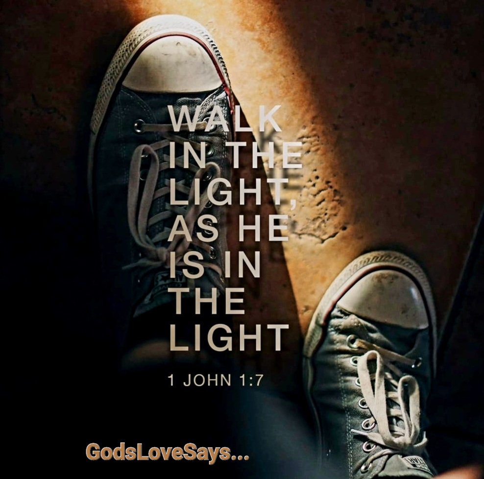 HornettPam's tweet photo. But if we walk in the light, as he is in the light, we have fellowship with one another, and the blood of Jesus, his Son, purifies us from all sin.
👣💡🩸
1 John 1:7
#GodsLoveSays #1john #walk #light #fellowship #blood #Jesus #Son #purifies #sin https://t.co/qvxqOpNJOd