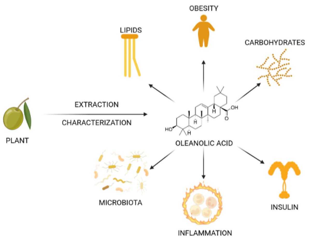 Nutrients_MDPI's tweet photo. #mdpinutrients
📚Recommend the Editor’s Choice article "#Oleanolic #Acid: Extraction, Characterization and Biological Activity" by Dr. Sara Ramos-Romero et al. @LifesciMdpi
👉https://t.co/crXaTNgTZ8 https://t.co/8NVZDlz7rX