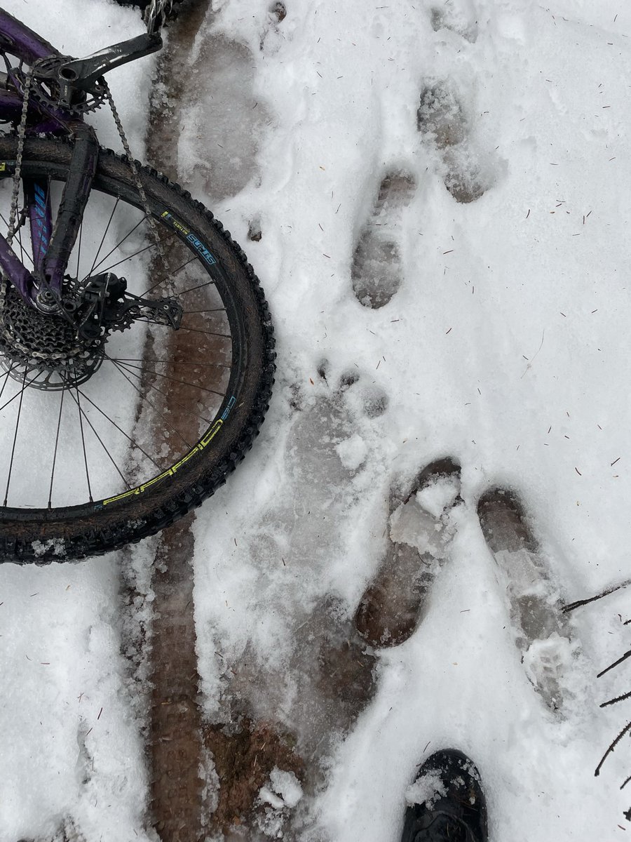 Who can explain this very large foot print I found in Dunkeld?
