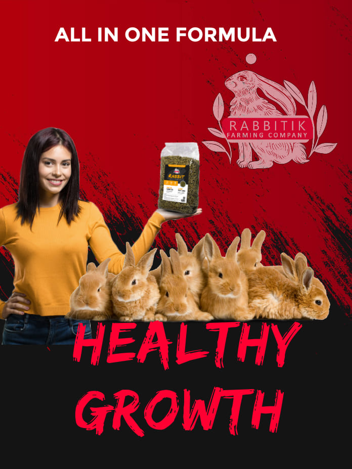 Rabbitik Farming tweet media