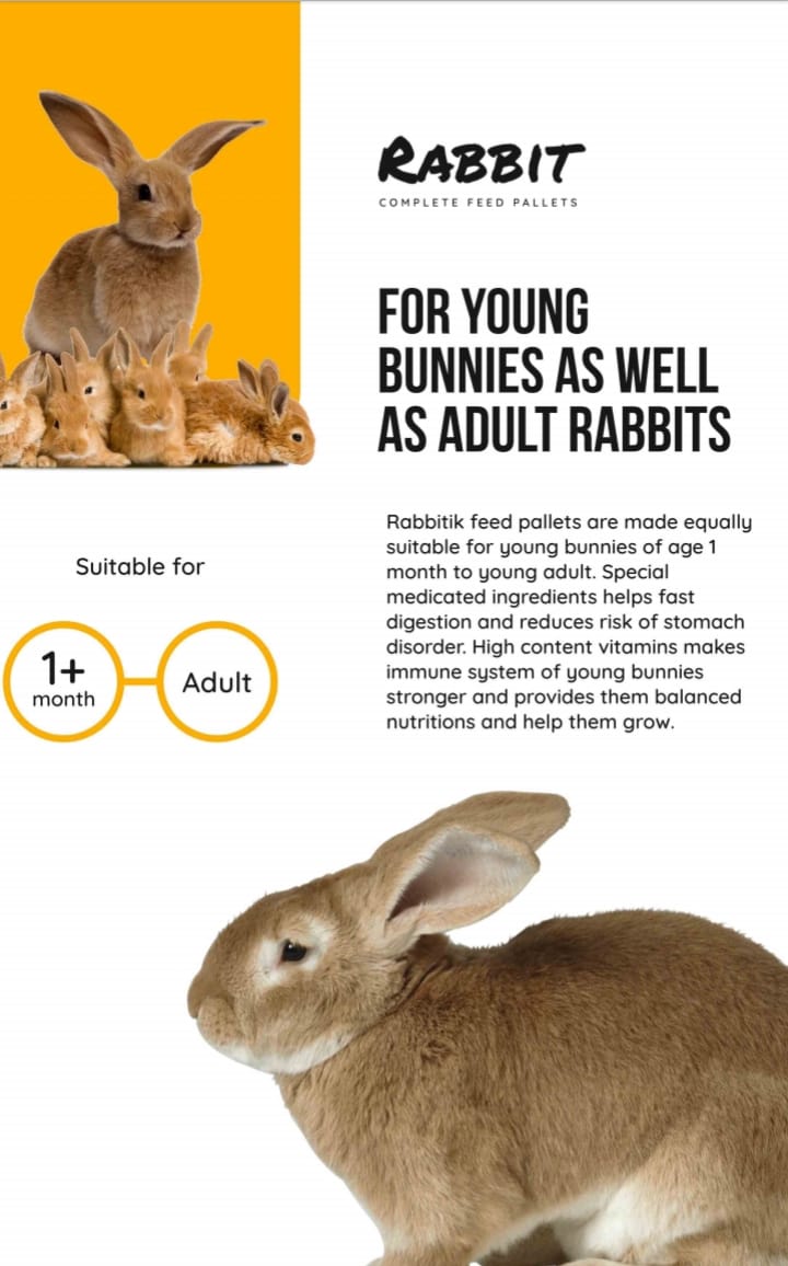 Rabbitik Farming tweet media