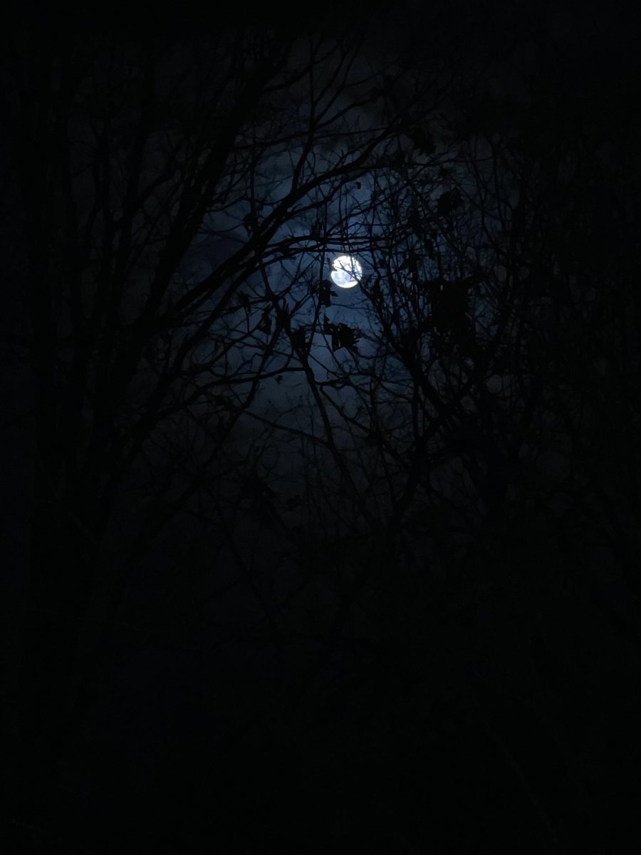 HybridCallsCEO's tweet photo. #Success feels amazing! Is it just me, or is it hard to enjoy time relaxing when we are caught up in chasing other “more important goals” as an #entrepreneur, #spouse or #parent? How do you relax?
Clear #moon #iPhotos from #LKN #NC #2023 - #IGotEm!
#UniteForSafety #AIForGood https://t.co/3osjRCAvaK