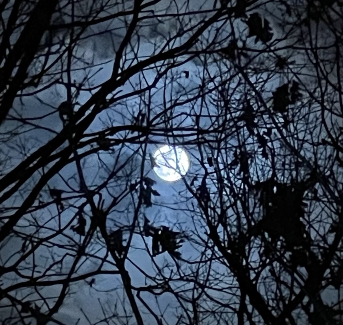 HybridCallsCEO's tweet photo. #Success feels amazing! Is it just me, or is it hard to enjoy time relaxing when we are caught up in chasing other “more important goals” as an #entrepreneur, #spouse or #parent? How do you relax?
Clear #moon #iPhotos from #LKN #NC #2023 - #IGotEm!
#UniteForSafety #AIForGood https://t.co/3osjRCAvaK