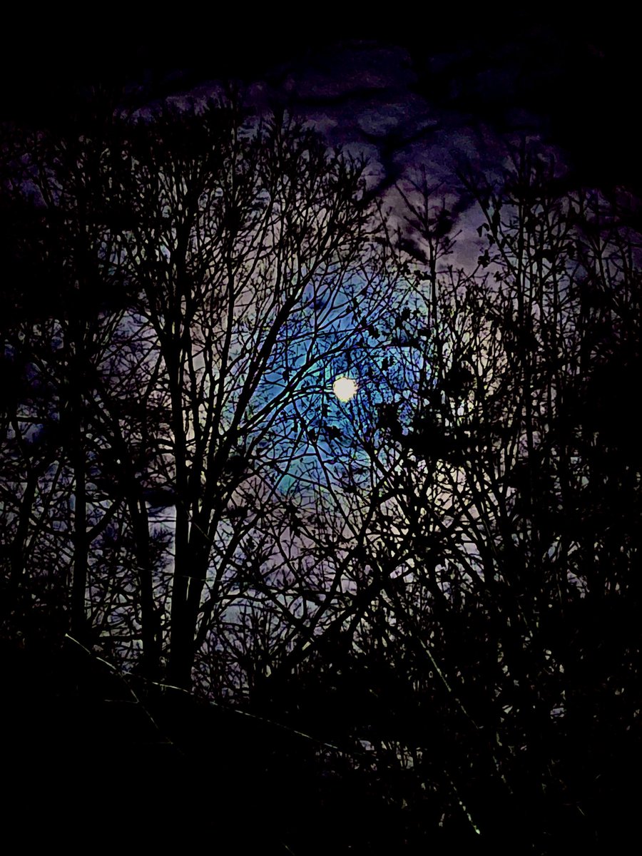 HybridCallsCEO's tweet photo. #Success feels amazing! Is it just me, or is it hard to enjoy time relaxing when we are caught up in chasing other “more important goals” as an #entrepreneur, #spouse or #parent? How do you relax?
Clear #moon #iPhotos from #LKN #NC #2023 - #IGotEm!
#UniteForSafety #AIForGood https://t.co/3osjRCAvaK