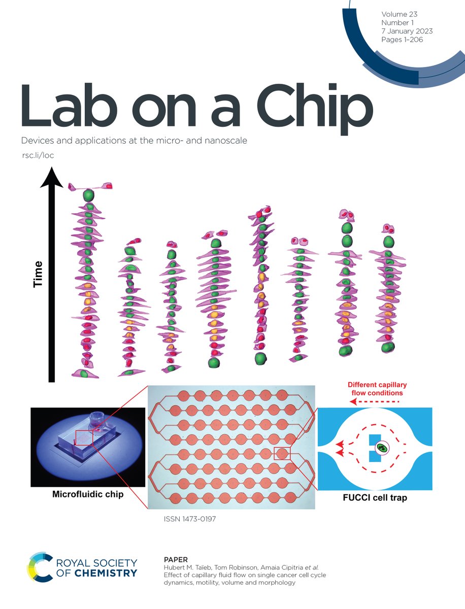We start 2023 with our image featuring the #Cover of @LabonaChip showing 3D #breastcancer #singlecells trapped inside a #microfluidic chip and monitoring their #cellcycle under #fluidflow with FUCCI2. @LabRobinson @MpiciPotsdam @Biodonostia @Ikerbasque 👉rsc.li/3QvX0KM
