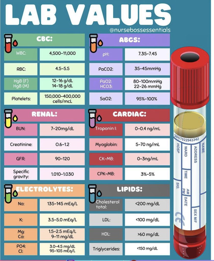 Innov_Medicine's tweet image. Lab values via nursebossessentiols
H/t @imedverse
 
#TipsForNewDocs #MedEd #MedTwitter #medicine #medical #medicare #health #healthcare #FOAMed #ClinicalPearl #clinicaltips #MedStudents