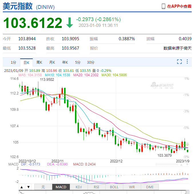 寂寞火山 tweet media