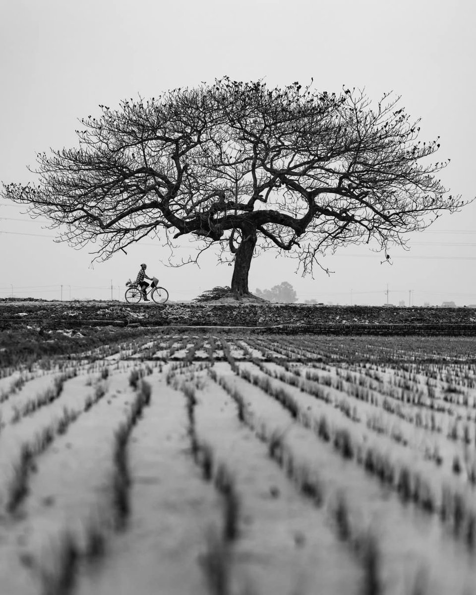 Vietsense_'s tweet photo. 9 photos in NatGeo that showcased Vietnam’s natural beauty.
Lensman Tran Tuan Viet continued to boost his global profile by having a number of his photographs published by U.S. magazine National Geographic in 2022.
(Part 1)
Source: VN Express https://t.co/vYucKVogLr