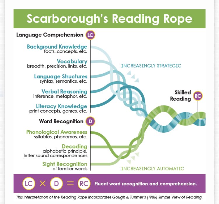 @KirstenDuncombe @gerritfa @Sophie1Teacher @JaneCaro I’m unsure where people are getting the idea that the science of reading advocates for phonics only. This has never been the case. Such commenters obviously have not studied or taught SOR and are commenting based on misinformation. Look at the reading rope to see what is covered