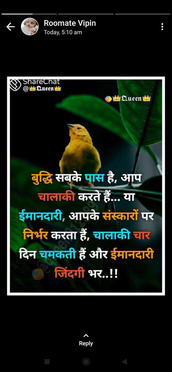 VickySi79203877's tweet photo. Good morning 🌞 https://t.co/Q9IHKyEmpi