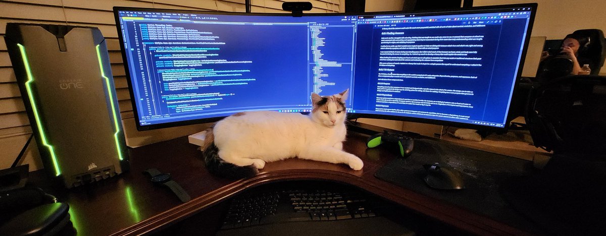HassanRezkHabib's tweet image. #pairprogramming #cat #code #care