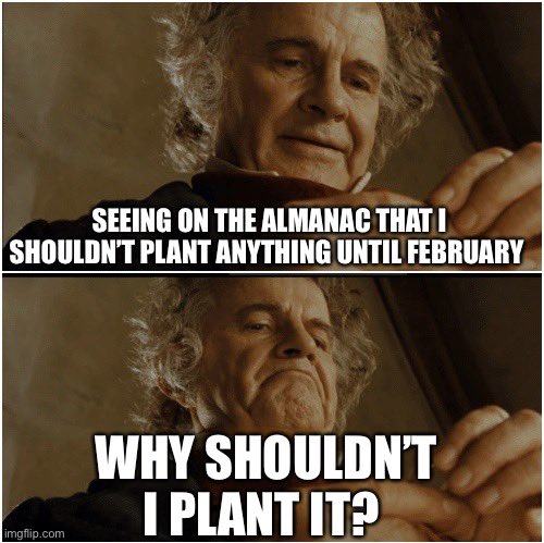 Growing more impatient by the day TBH. 
#garden #GardeningTwitter #growdamnit