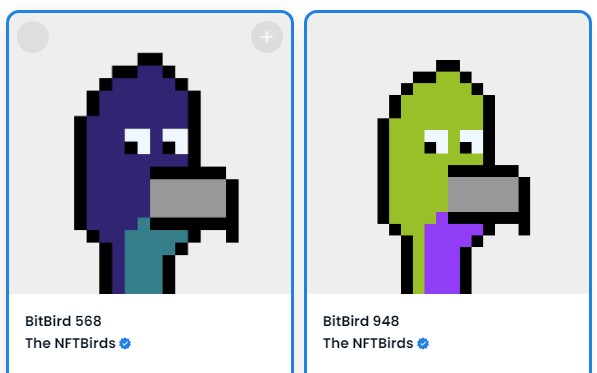 Adam Liebman tweet media