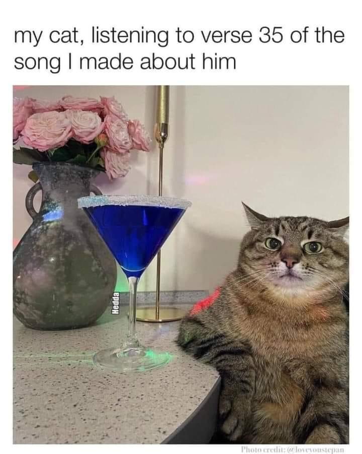 WholesomeMeme's tweet photo. https://t.co/IuTF3Vae4W