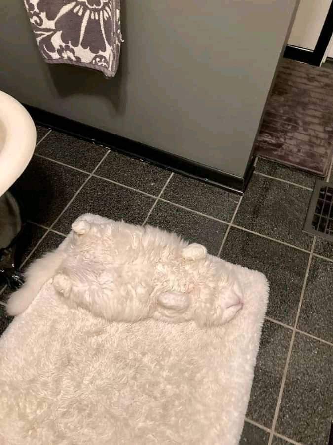fluff catcher