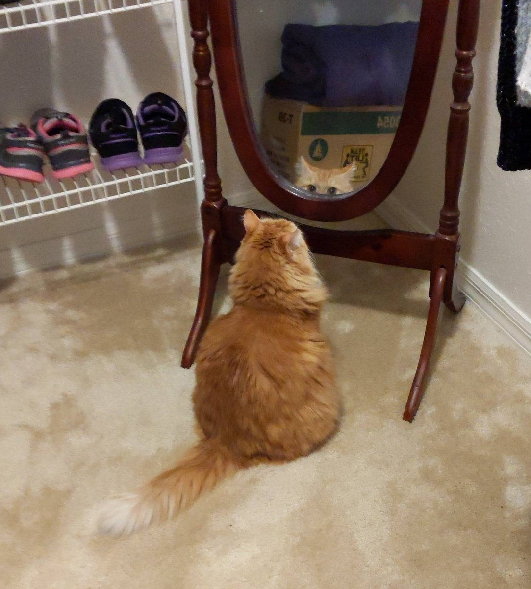 I is smart. I is handsome. I is capable.