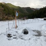 河本 大地 Daichi Kohmotoのツイート画像
