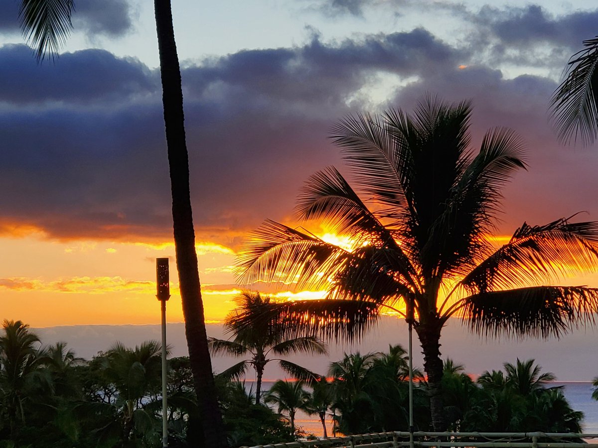 Steven Zipkes  tweet media