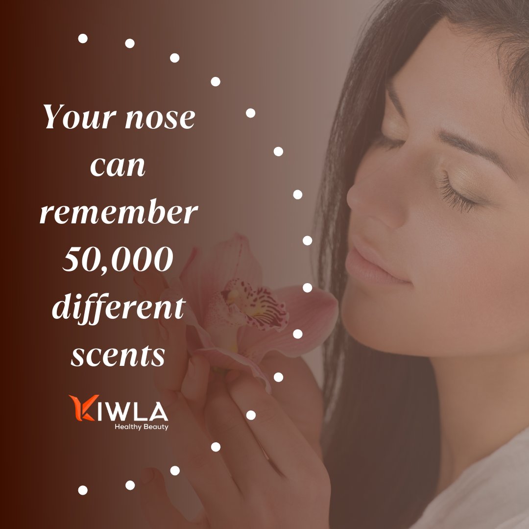 thekiwla's tweet photo. Did you know These Health Facts?
.
.
.
#healthcare #health #healthfacts #cardio #nose #breathing #bloodpressure #wildcaughtfish #eggs #healthyliving #healthybeauty #welovekiwla #monday #monday #mondaythoughts #welovekiwla #thekiwla @thekiwla https://t.co/wsoLbNE6pY